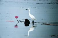 post-108698-0-71277200-1384097383_thumb.