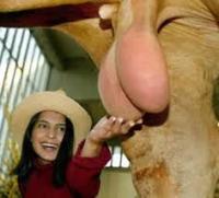 post-109645-0-33091400-1383298439_thumb.