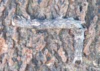 post-12069-0-32731000-1384174420_thumb.j