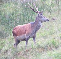 post-12069-0-48368300-1384582416_thumb.j