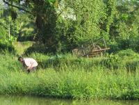 post-12069-0-60949600-1383363652_thumb.j