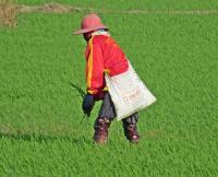 post-12069-0-84342300-1385781166_thumb.j