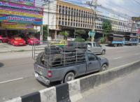 post-12069-0-84667100-1384642920_thumb.j