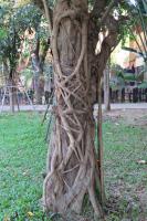 post-12069-0-86518600-1385691836_thumb.j