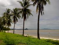 post-131974-0-81748900-1384060114_thumb.