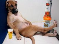 post-146250-0-25673300-1384230178_thumb.