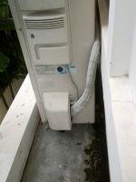 post-148544-0-78027000-1385111321_thumb.