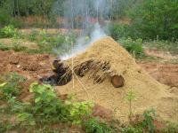 post-148604-0-37518600-1384217888_thumb.