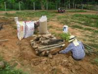 post-148604-0-71383000-1384217886_thumb.