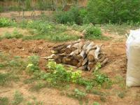 post-148604-0-88714100-1384217879_thumb.