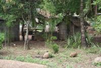 post-151649-0-51760800-1384584952_thumb.