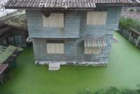 post-151649-0-66792200-1384584587_thumb.