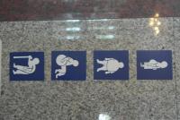 post-151649-0-98926300-1385183183_thumb.