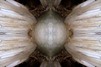 post-163509-0-58643500-1384882937_thumb.