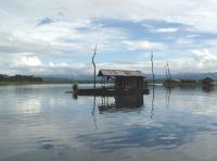 post-163509-0-74679800-1384872513_thumb.