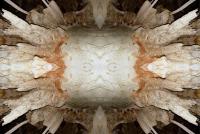 post-163509-0-95894900-1384882857_thumb.