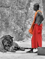 post-164006-0-29804200-1384077510_thumb.