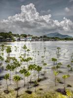 post-164006-0-63678100-1384072486_thumb.