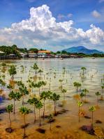 post-164006-0-90756300-1384075284_thumb.