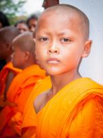 post-164006-0-92638800-1384077730_thumb.