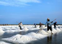 post-168943-0-25244500-1384620908_thumb.