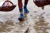 post-168943-0-37012300-1385648860_thumb.