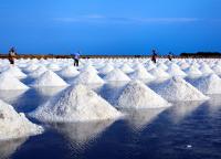 post-168943-0-63947200-1384620939_thumb.