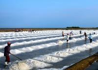 post-168943-0-85198600-1385648800_thumb.