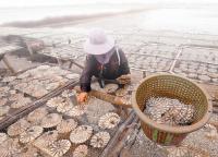 post-168943-0-94250600-1384619886_thumb.