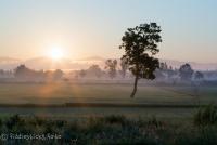 post-171103-0-11943900-1383531614_thumb.