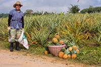 post-171103-0-34940700-1385276283_thumb.