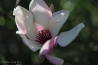 post-171103-0-63497300-1383915233_thumb.