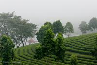 post-171103-0-89796300-1385275829_thumb.