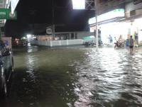 post-17753-0-04932700-1385128615_thumb.j