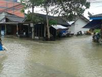 post-17753-0-37730200-1385174390_thumb.j