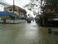 post-17753-0-44423000-1385174457_thumb.j