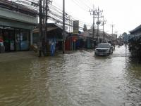 post-17753-0-61386400-1385174763_thumb.j