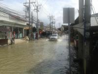 post-17753-0-62906200-1385262290_thumb.j