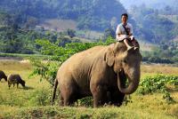 post-182050-0-11373000-1384099971_thumb.