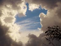 post-185776-0-20829300-1385551592_thumb.