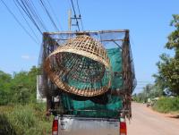 post-185776-0-39901300-1384512321_thumb.