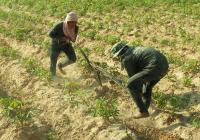 post-185776-0-44593800-1383978513_thumb.