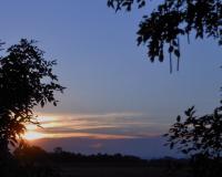 post-185776-0-45015700-1384086580_thumb.