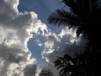 post-185776-0-54222200-1385551660_thumb.