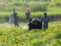 post-185776-0-54800600-1385197840_thumb.