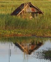 post-185776-0-60679500-1384074626_thumb.