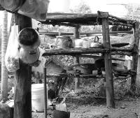 post-185776-0-79440700-1384339031_thumb.