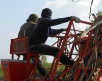 post-185776-0-84523400-1384423061_thumb.