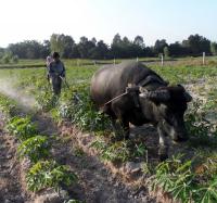 post-185776-0-86520100-1383997826_thumb.