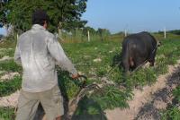 post-185776-0-86991600-1383997921_thumb.